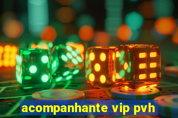 acompanhante vip pvh